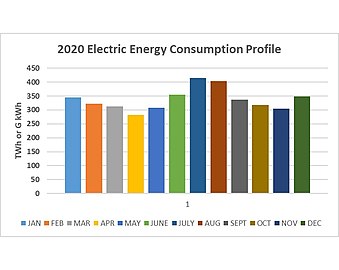 2020 Electric Energy Consumption Profile