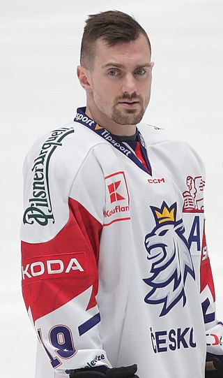 <span class="mw-page-title-main">Jakub Flek</span> Czech ice hockey player