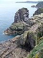 Blick auf den Vogelfelsen La Fauconniere-Das Cap Frehel ist ein Vogelschutzgebiet das viele Brutvogelarten beherbergt-Cote de Emeraude,Village Plevenon