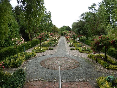 8517 Rosarium Wilhelmshaven 8517