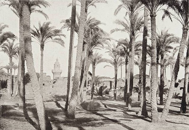 File:A Typical Middle Egyptian Village. (1910) - TIMEA.jpg