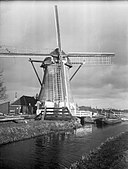 Boschhuizermolen met poserend molenaarsechtpaar in de Bosch- en Gasthuispolder (Inmiddels verdwenen)