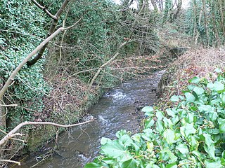 <span class="mw-page-title-main">River Gwenfro</span> River in Wales