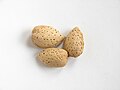 Unshelled nuts (endocarp)