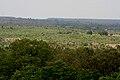 Ananthagiri forest