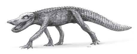 Restauration de Anatosuchus par Todd Marshall, 2009