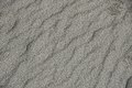Asymmetrically rippled sand between Medano Creek & Great Sand Dunes, southern Colorado, USA 1.jpg