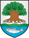 vaakuna