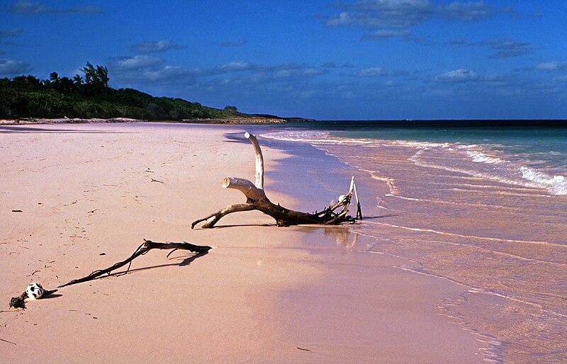 File:Bahamas 1989 (347) Eleuthera Pink Sand, Harbour Island (24276619101).jpg