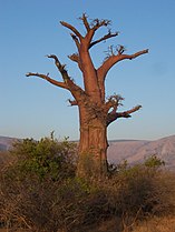 North-eastern Zimbabwe, September 2006