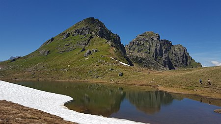 Berglimattsee Gandstock