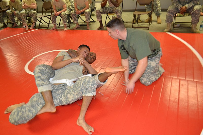 File:Best Warrior Combatives 141212-A-IO181-002.jpg