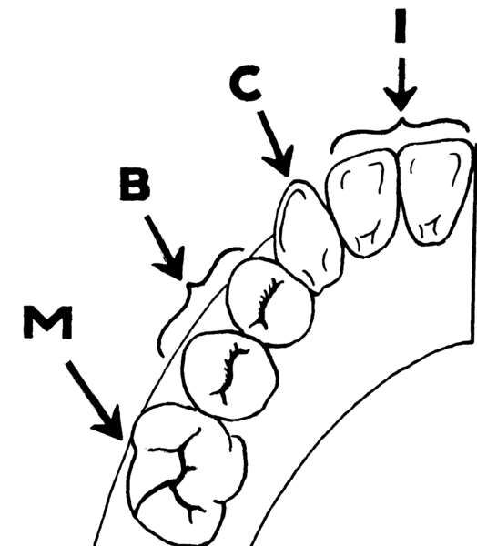 File:Biscupids (PSF).png