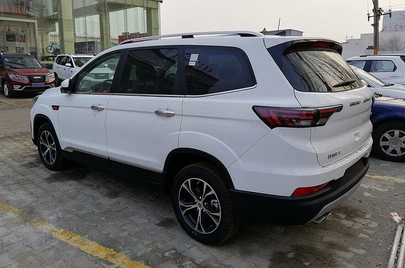 File:Bisu T5 03 China 2018-03-17.jpg