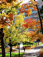 Botterell Hall houses the Centre for Neuroscience Studies, a university research centre Boterell Hall.JPG