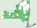 Bromus latiglumis NY-dist-map.png