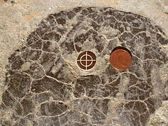 Marcador de bronze orientat a l'església Sant-Michel de Brunvillers-la-Motte (Oise). La moneda d'1 cèntim d'euro permet adonar-se de la proporció.