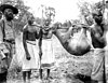 Jagdbeute (Deutsch-Ostafrika, 1906)