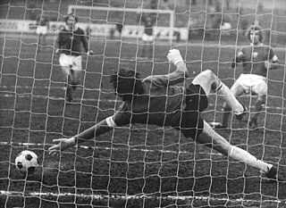 <span class="mw-page-title-main">Frank Terletzki</span> German football coach and former player (born 1950)