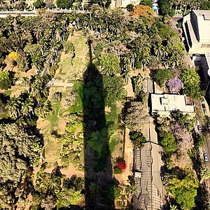 Cairo tower from my perspective.jpg