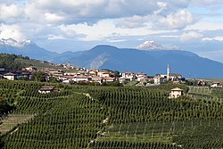 Campodenno Italien 2010.jpg