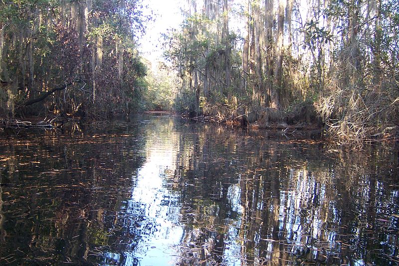 File:Canal Run shadows (5179305812).jpg