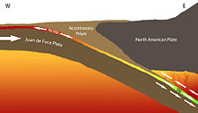 Cascadia Subduction Cross Section Cascadia Subduction Cross Section.jpg