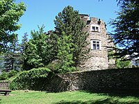 Castello di Introduction par parco 2.JPG