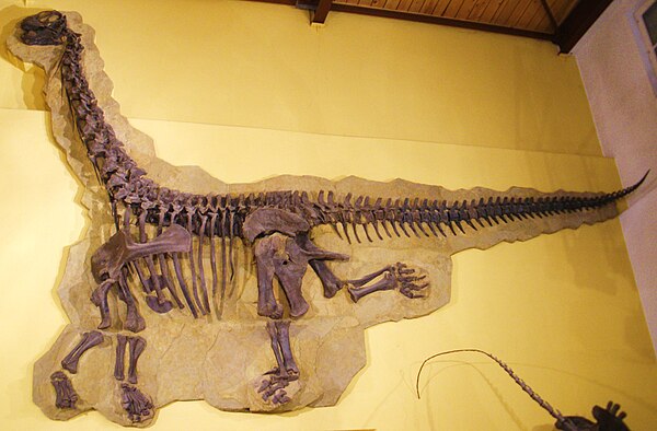 Cathetosaurus lewisi
