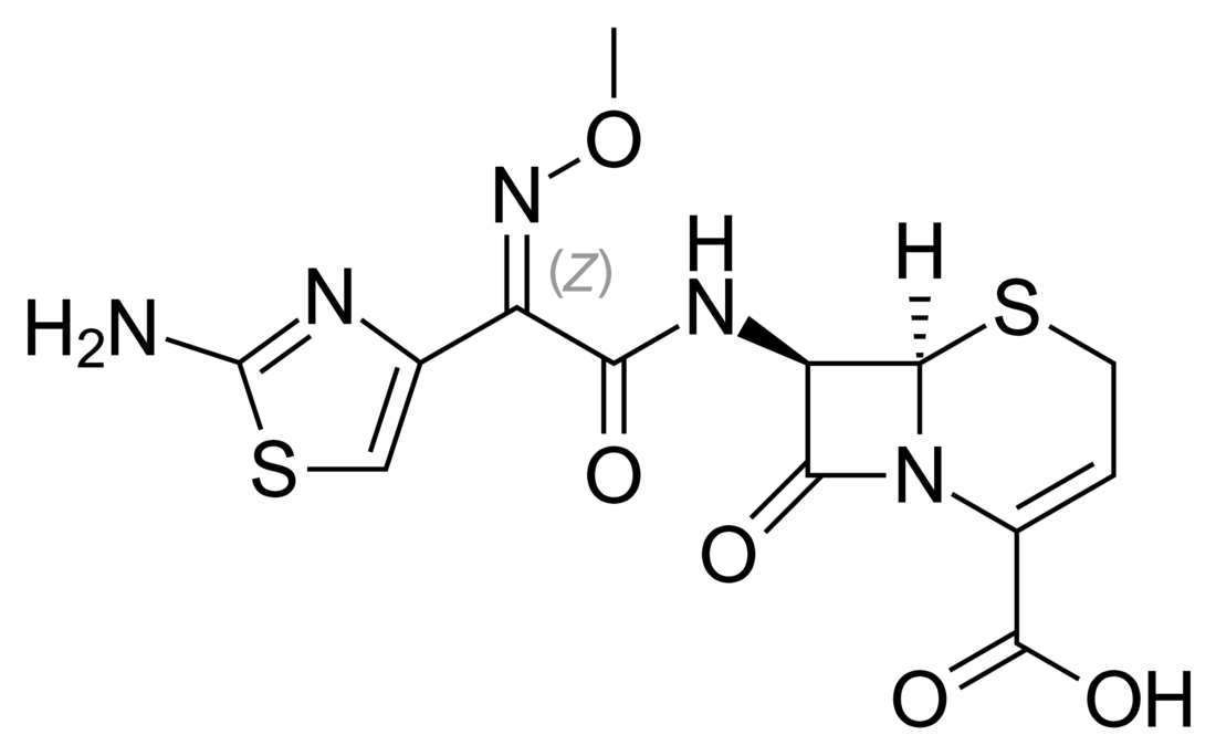 Ceftizoxime