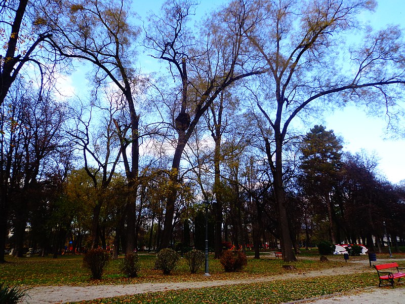 File:Centar, Skopje 1000, Macedonia (FYROM) - panoramio (270).jpg