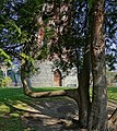 * Nomination: Water tower and bizarre tree in Colmar (Haut-Rhin, France). --Gzen92 08:12, 25 April 2022 (UTC) * * Review needed