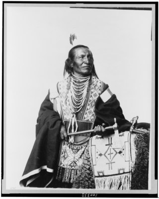 <span class="mw-page-title-main">Chief Red Fox</span> Native American Lakota Sioux activist and actor (1870–1976)