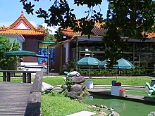 The Live Turtle and Tortoise Museum Chingar8.JPG