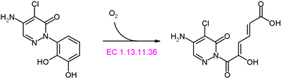 Chloridazon-catechol dioxygenase reaction.PNG