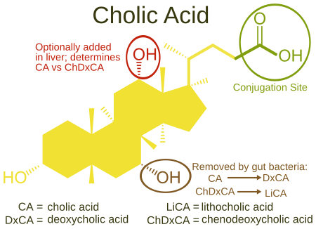 Acid_mật