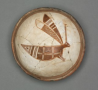 <span class="mw-page-title-main">Grasshopper Pueblo</span> Formerly populated place in North America