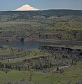 From Tom McCall Preserve