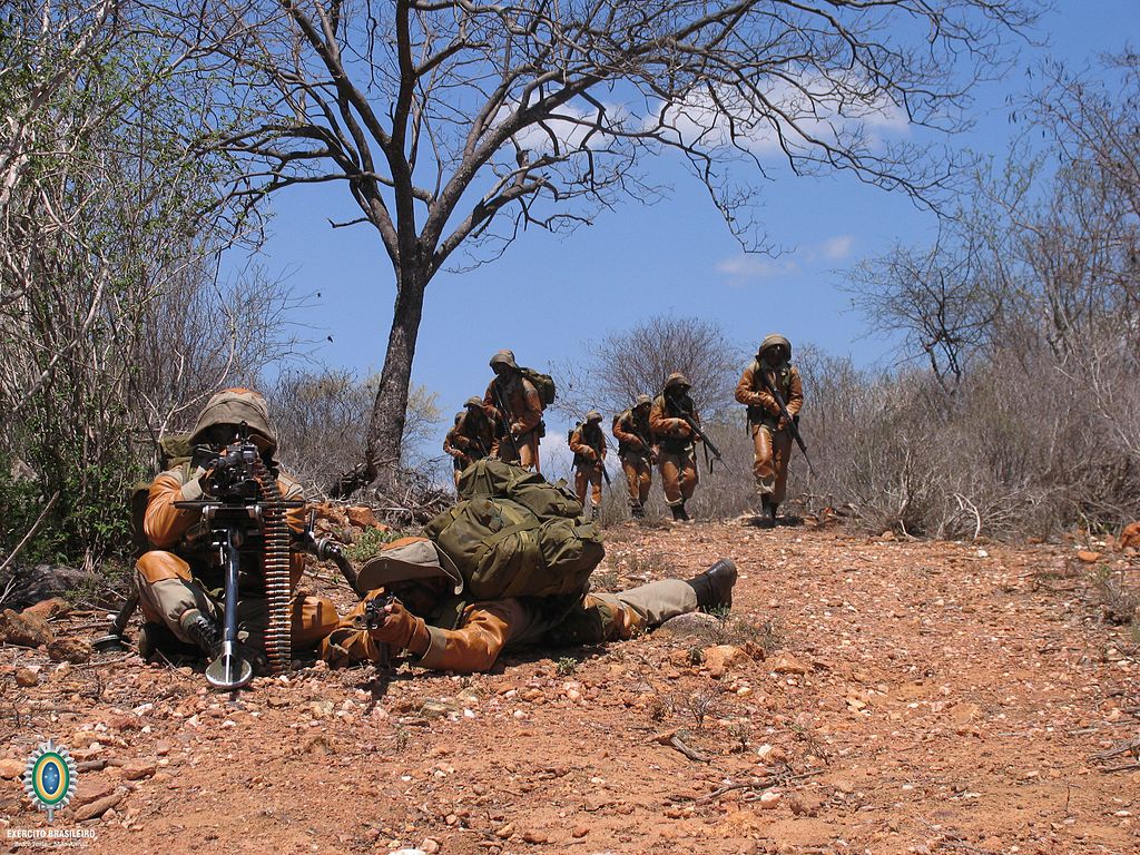 File:Combatente da Caatinga (26700198395).jpg - Wikipedia