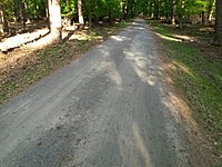 Compacted forest track no1.jpg