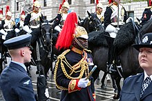 A Gold Staff Officer (Lt-Col. Nana Kofi Twumasi-Ankrah) marshalling the Coronation Procession in 2023. Coronation of Charles III and Camilla - Coronation Procession (37).jpg