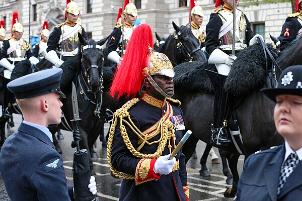 A Gold Staff Officer (Lt-Col. Nana Kofi Twumasi-Ankrah) marshalling the Coronation Procession in 2023.