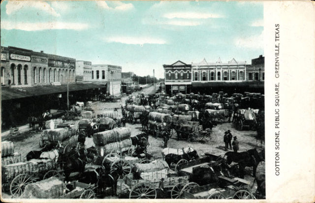 Cotton scene, public square, Greenville, Texas (postcard, c. 1908)