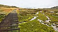 Creek and metal track on the Kosciuszko Plateau, NSW 2.jpg