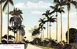 Thumbnail for File:Cuba - Cuban road.jpg