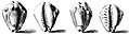 ১৭৪২ সালের টাকার পাথরের অঙ্কন, সাইপ্রিয়া মোনেটা (মালদ্বীপের ইতিহাস থেকে)