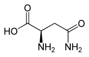 D-asparagin.svg