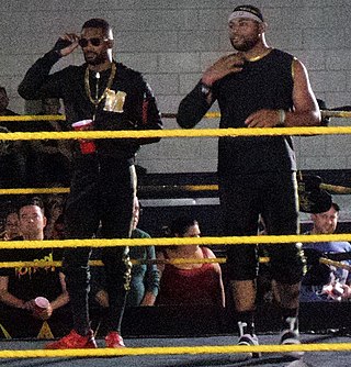 <span class="mw-page-title-main">Street Profits</span> Professional wrestling tag team