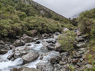 <span class="mw-page-title-main">Deception River</span> River in New Zealand