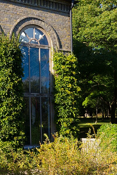 File:Details of the greenhouse in the botanical garden of Lund, 23.08.2016.jpg